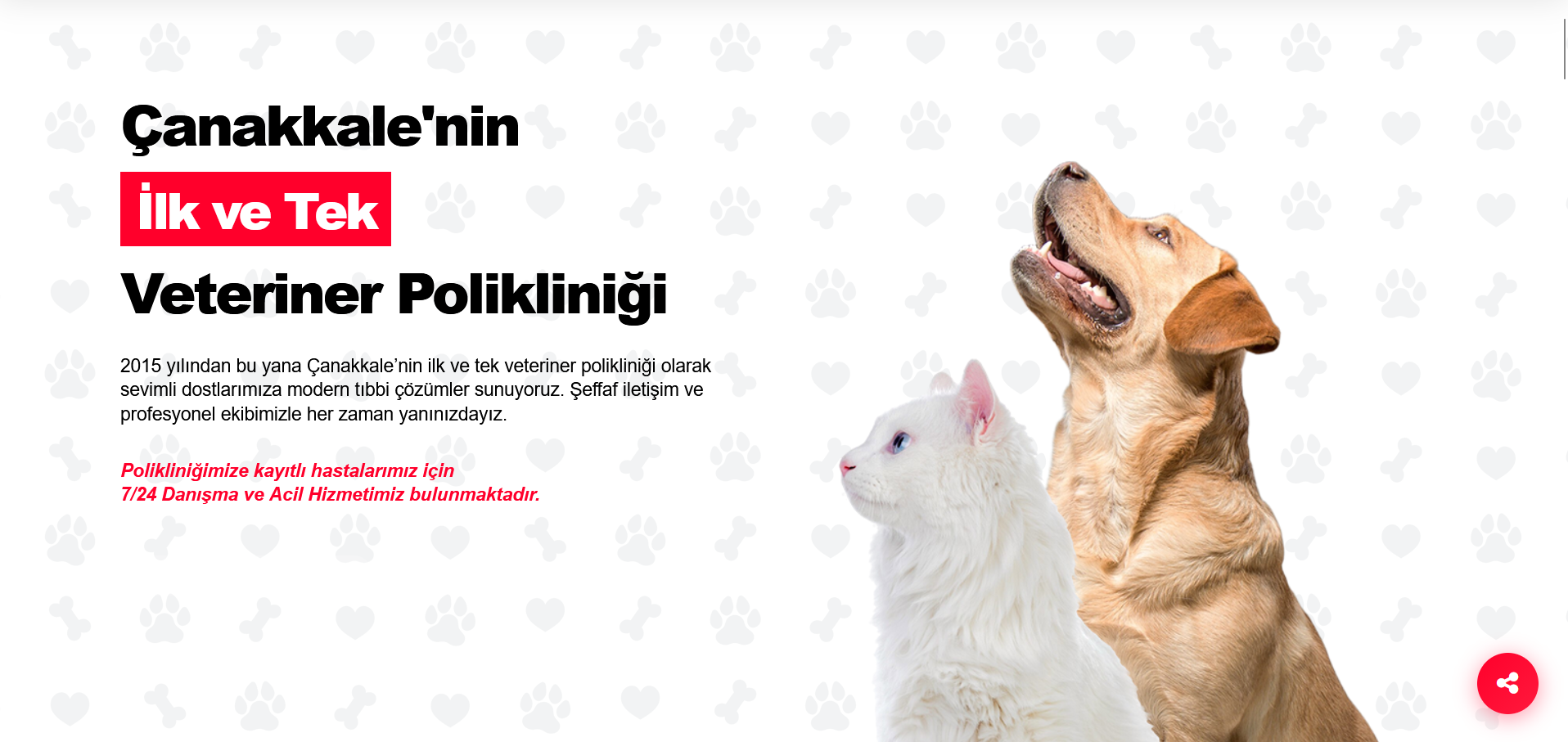 Çanakkale Veterinerlik Project